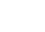 3.apollo-white